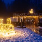 Osvětlená Stezka korunami stromů