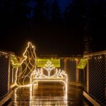 Osvětlená Stezka korunami stromů