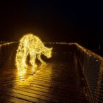 Osvětlená Stezka korunami stromů