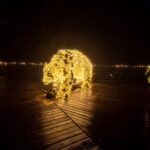 Osvětlená Stezka korunami stromů