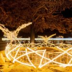 Osvětlená Stezka korunami stromů