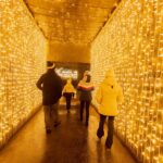 Osvětlená Stezka korunami stromů