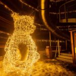 Osvětlená Stezka korunami stromů