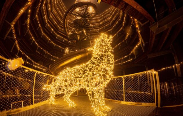 FOTO: Jedinečná večerní podívaná. V Krkonoších září osvětlená stezka