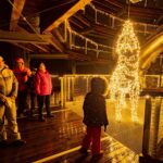 Osvětlená Stezka korunami stromů