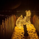 Osvětlená Stezka korunami stromů