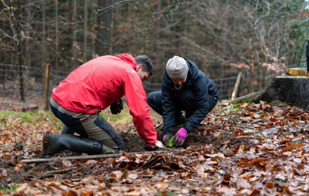 Chcete sázet stromy? Pomozte krajině s grantem od Škoda Auto
