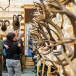 Výstava trofejí lesa