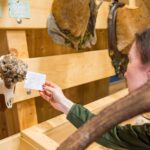 Výstava trofejí lesa