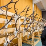 Výstava trofejí lesa