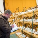 Výstava trofejí lesa