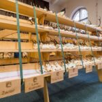 Výstava trofejí lesa