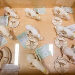 Výstava trofejí lesa