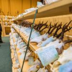 Výstava trofejí lesa