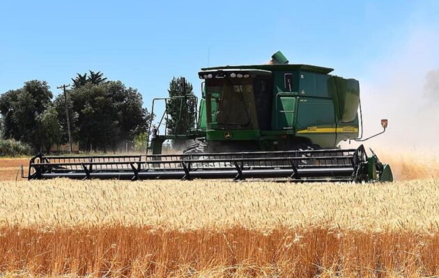Sklizeň obilí v Královéhradeckém kraji byla loni nejvyšší za posledních šest let