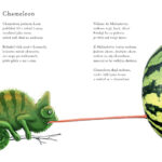 Neochočené básničky Aleny Müllerové pobaví děti i dospělé