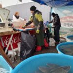 Prodej vánočních kaprů ve Vrchlabí