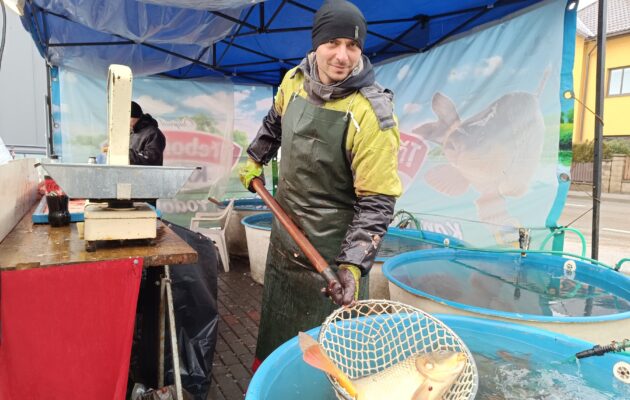 FOTO: Ryby na vánoční stůl. Před obchodem Pepco se již prodávají kapři