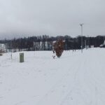 Když Vejsplachy kromě nedostatku sněhu čelí i neukázněným lyžařům