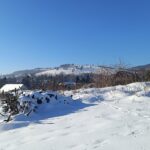 Lyžařská stopa pod Jankovým kopcem