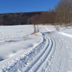 Lyžařská stopa pod Jankovým kopcem