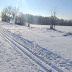 Lyžařská stopa pod Jankovým kopcem