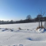 Lyžařská stopa pod Jankovým kopcem