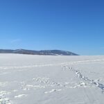 Lyžařská stopa pod Jankovým kopcem