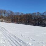 Lyžařská stopa pod Jankovým kopcem