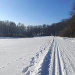 Lyžařská stopa pod Jankovým kopcem