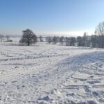 Lyžařská stopa pod Jankovým kopcem