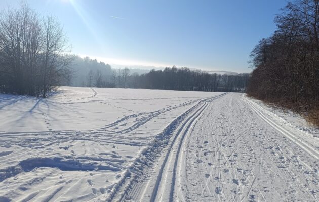 GALERIE: Běžkaři mají k dispozici tratě mezi Jankovým kopcem a letištěm