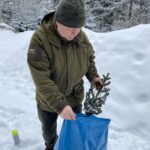 Genofond krkonošských jedlí