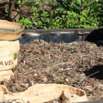 Odemykání Terapeutické zahrady 2025