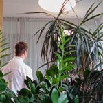 Televize Nova točila reportáž v restauraci Farma