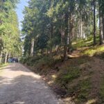 Tradiční výšlap na Žalý 2025