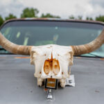 Sraz Amerik trhl rekord, u diváků nejvíce zabodoval Clénet