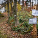 Pěchotní srub T-S 81a s pevnostním kanonem L1 na Stachelbergu