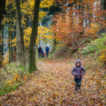 Pěchotní srub T-S 81a s pevnostním kanonem L1 na Stachelbergu