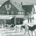 Z historie mushingu rodiny Kobrů v Krkonoších
