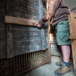 Stezka plná zážitků. A teď i medvědích díky unikátnímu projektu