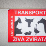 Stezka plná zážitků. A teď i medvědích díky unikátnímu projektu