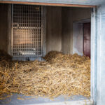 Stezka plná zážitků. A teď i medvědích díky unikátnímu projektu