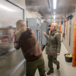 Stezka plná zážitků. A teď i medvědích díky unikátnímu projektu