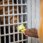 Stezka plná zážitků. A teď i medvědích díky unikátnímu projektu