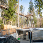 Stezka plná zážitků. A teď i medvědích díky unikátnímu projektu