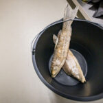 Stezka plná zážitků. A teď i medvědích díky unikátnímu projektu