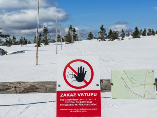 V Krkonoších platí omezení na některých trasách kvůli ochraně tetřívka